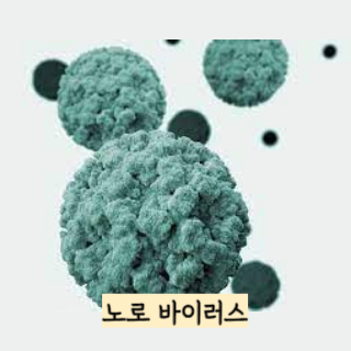 장염-증상-빨리-낫는-법