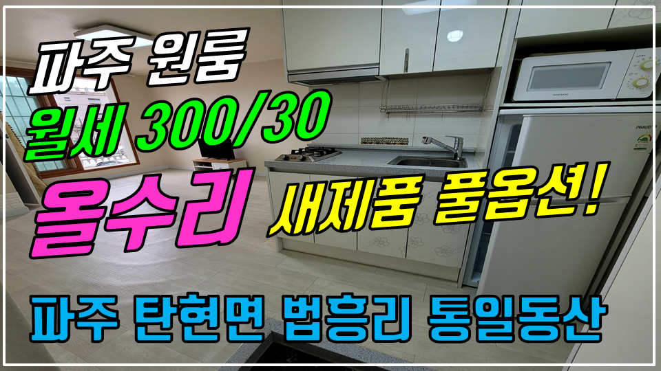  파주 탄현면 법흥리 원룸 월세 300/30만 인터넷완비 풀옵션 올수리한 깔끔한 원룸, 통일동산 시그네틱스 헤이리 원룸 임대