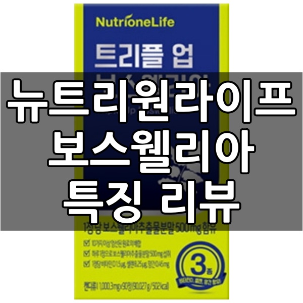  뉴트리원라이프 트리플 업 보스웰리아 어떤 제품일까요?