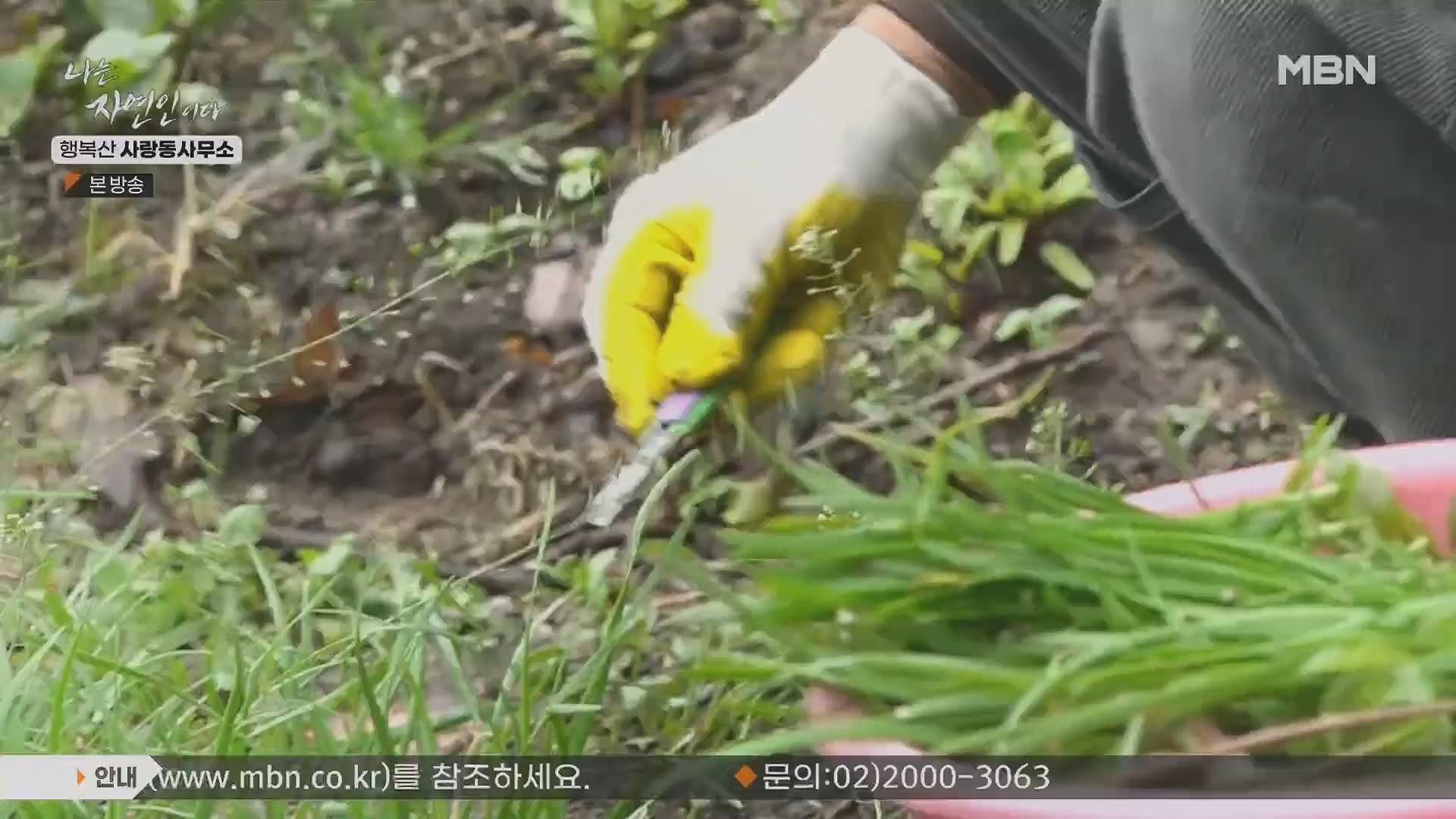 나는 자연인이다.E552.230503p.H264-F1RST.mp4_20230504_200308.089.jpg