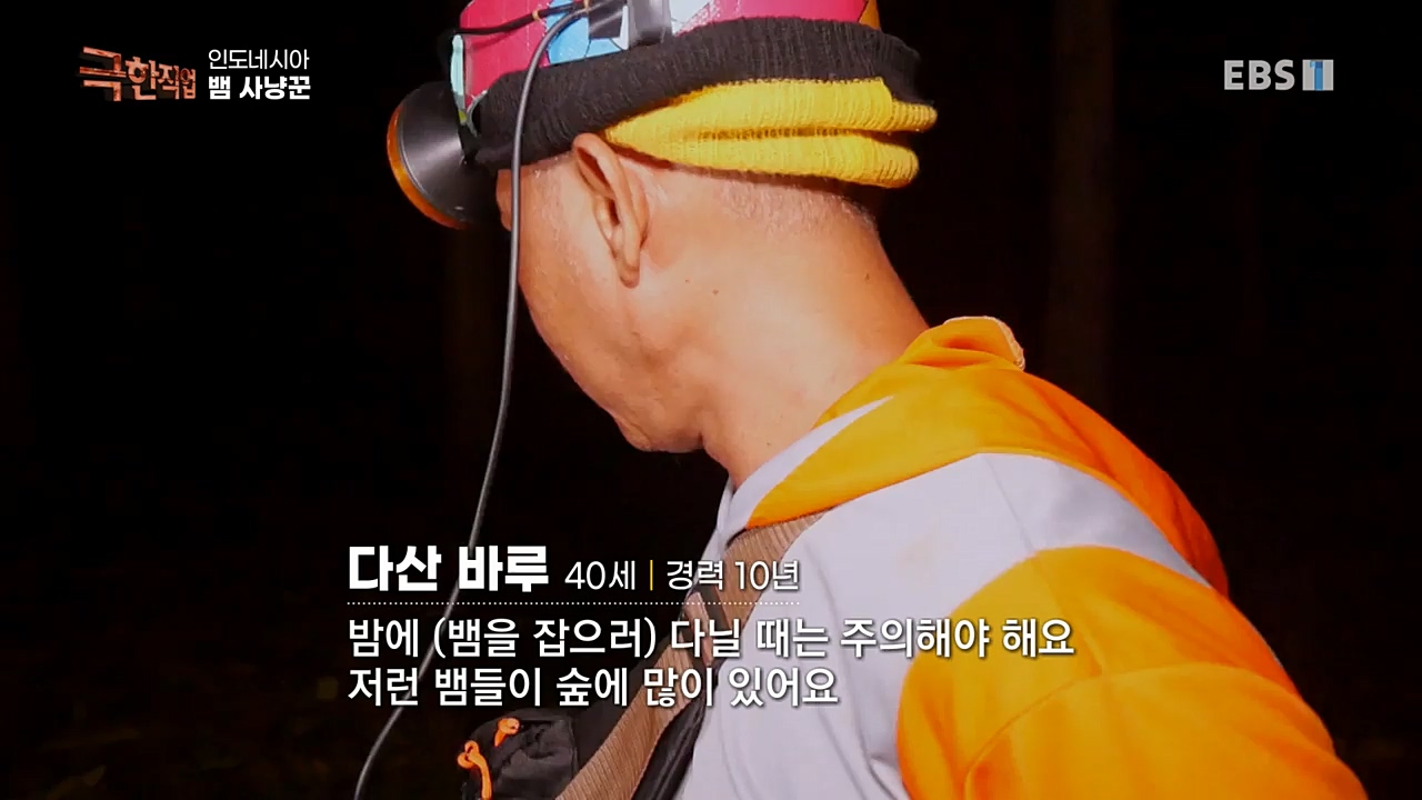 TV - 교육의 중심 EBS인도네시아 뱀사냥꾼.mp4_20221211_181508.899.jpg