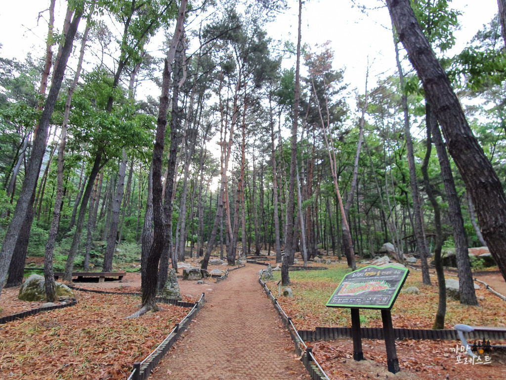 화왕산 생명의 숲