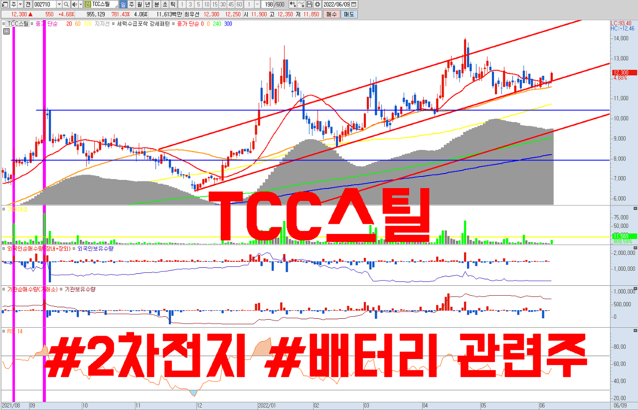  테슬라 관련주 TCC스틸 주식 전망 ( 2차전지 , 배터리 , 원통형배터리 관련주 )