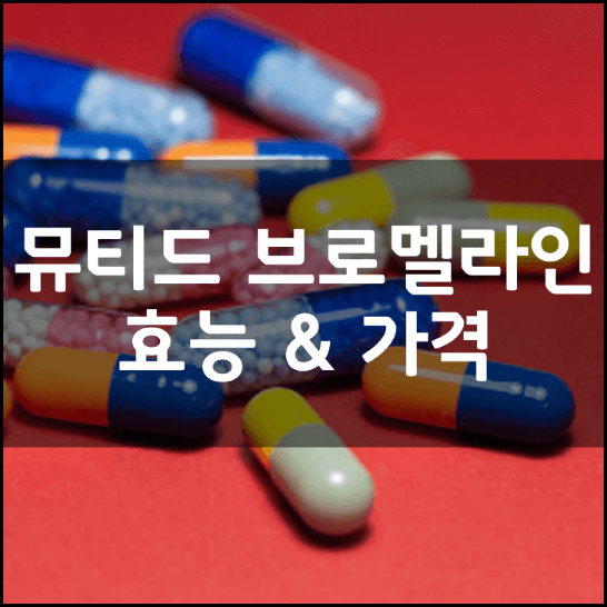 뮤디트-뮤티드-브로멜라인-효능-성분-복용법-가격-내돈내산-정리