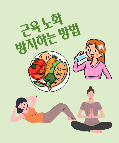  근육이 중요한 이유 및 근육 노화를 방지하는 방법