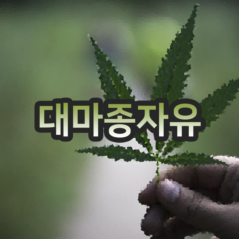  대마종자유 효능과 부작용 그리고 중요한 이것!