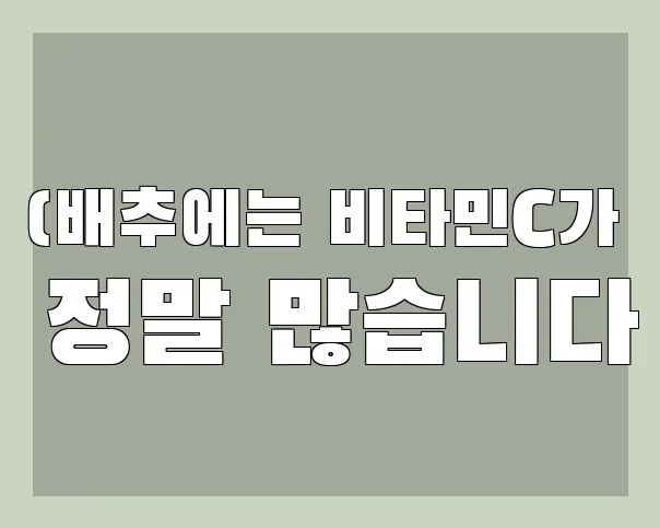 (배추에는 비타민C가 정말 많습니다