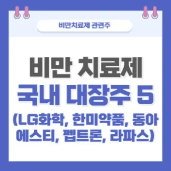 비만치료제 대장주 관련주 TOP5 총정리_11