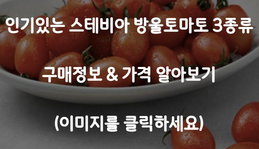 방울토마토 추천