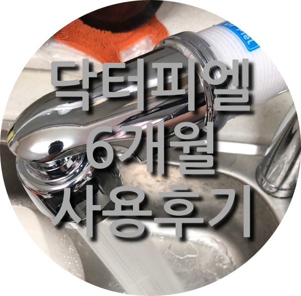  닥터피엘 6개월 사용후기