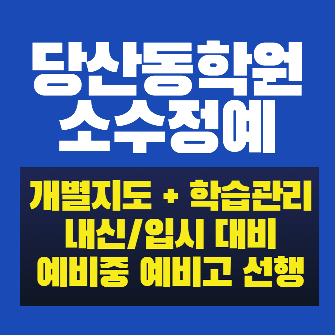  당산동 초등 소수정예학원 중학생 영어학원 고등 수학 내신 역사학원 과학 당서초 당산서중