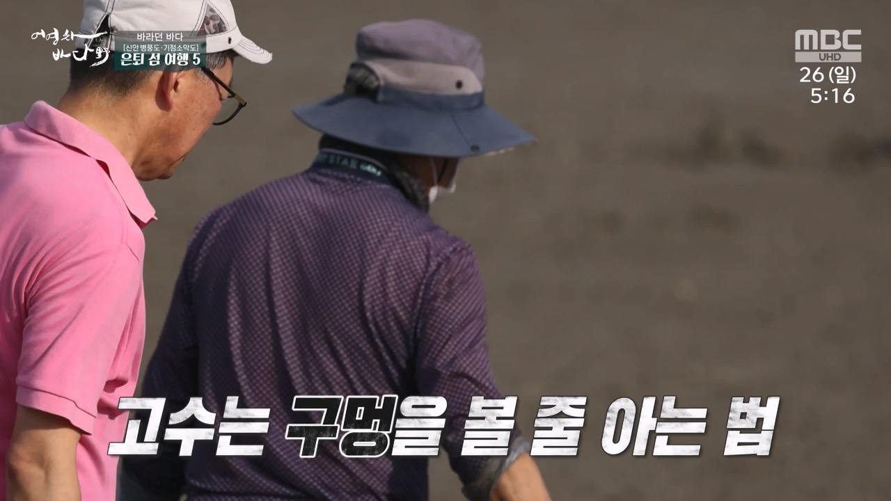 MBC 네트워크 특선 푸른백세 어영차 바다야.E1650.231127p-NEXT.mp4_20231202_171531.313.jpg