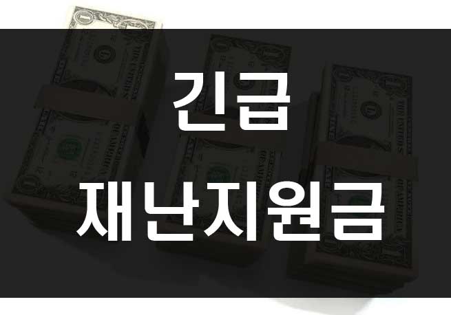  코로나 긴급재난지원금 중위소득 100% 100만원 지급?