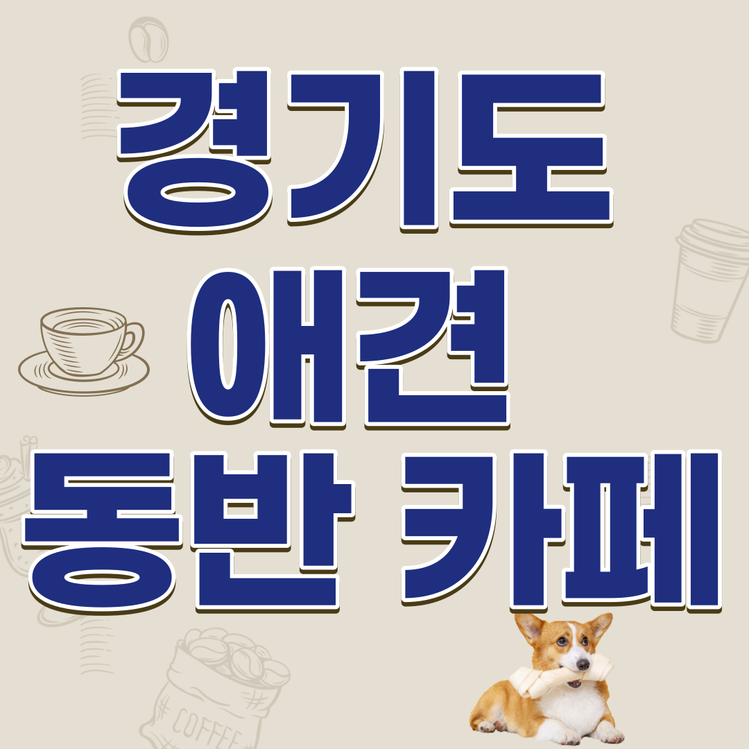 경기도 강아지&#44; 애견&#44; 반려견 동반 카페 추천 5곳