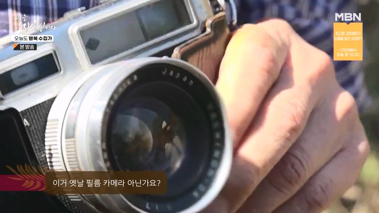 나는 자연인이다.E578.231102p-NEXT.mp4_20231102_202927.198.jpg