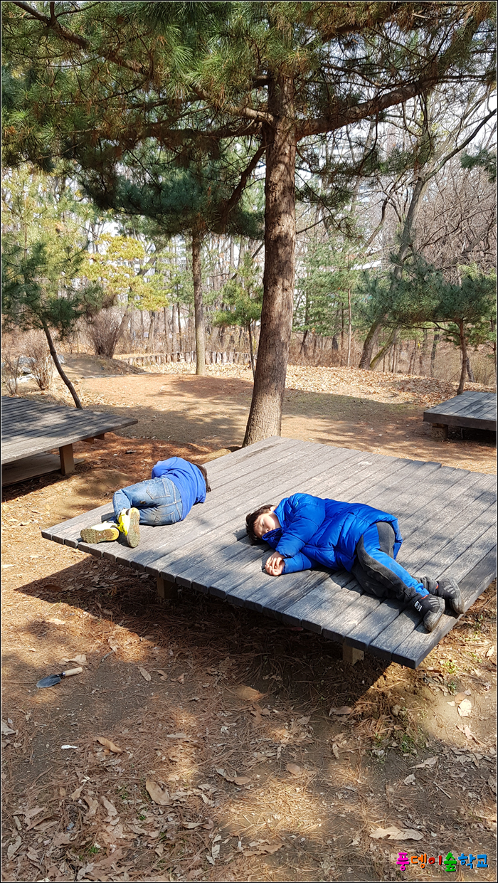 사계절을담다 이미지