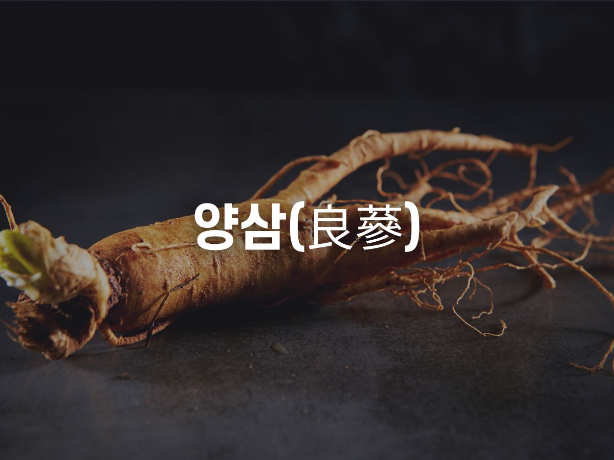인삼 종류와 홍삼 등급 (천삼, 지삼, 양삼)