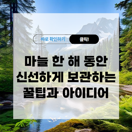 마늘 신선하게 보관하는 방법 알아보기