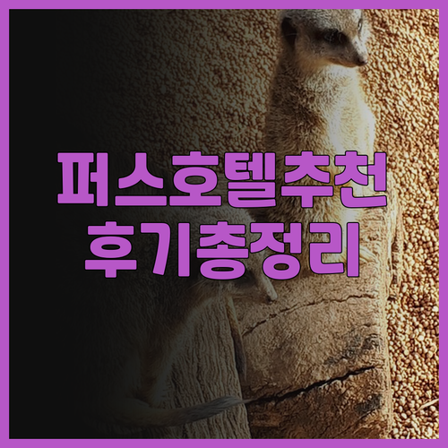 퍼스 호텔 예약 고민은 이제 그만..