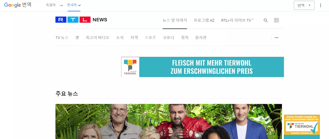 번역된 RTL 사이트