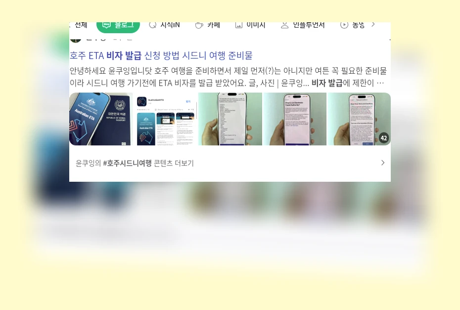 비자 발급_1_subsection