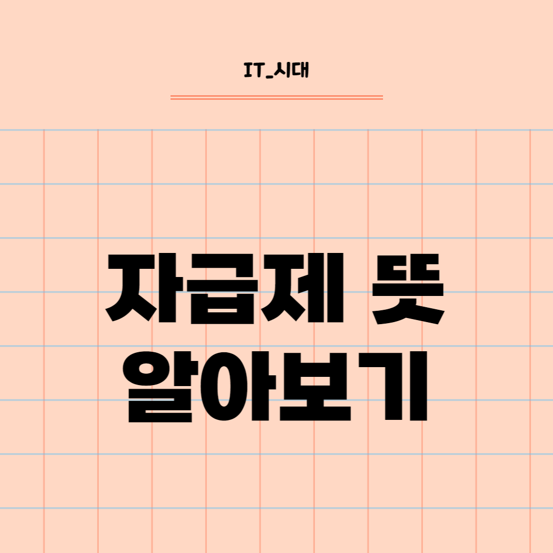  자급제 뜻  알아보기
