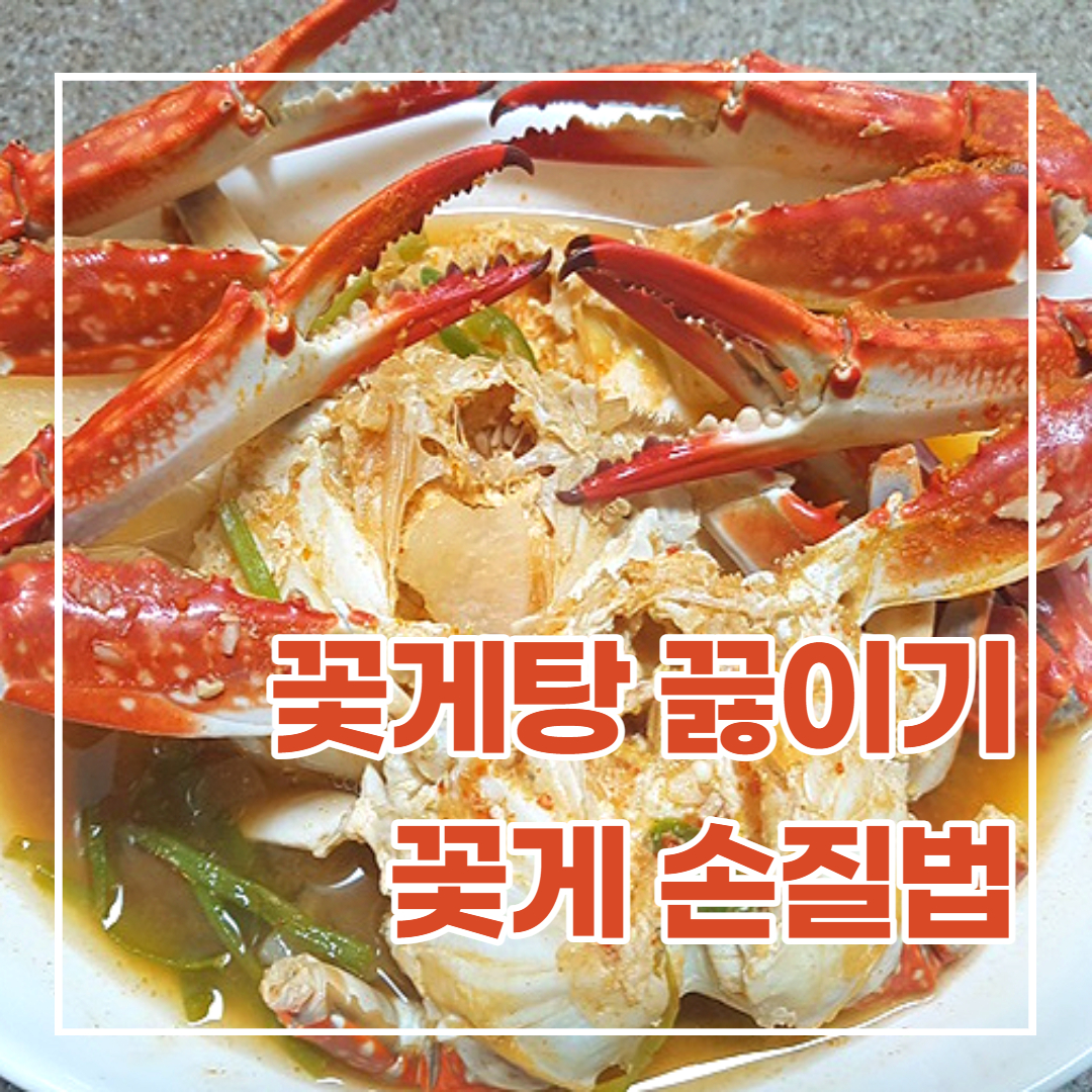  꽃게탕 끓이는 법과 꽃게 손질하는 법