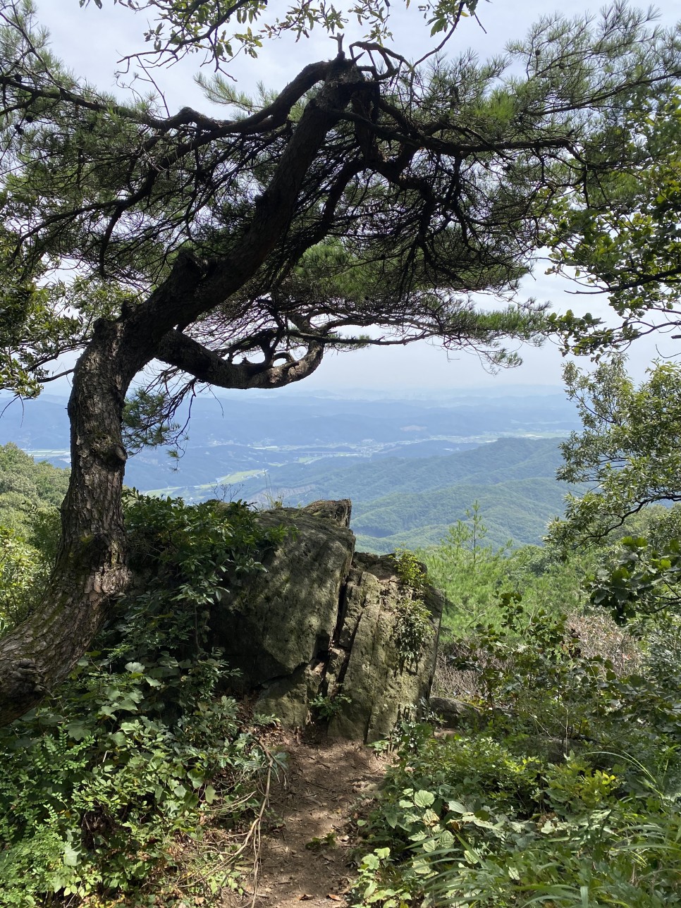 홍길동이 다녀간 24