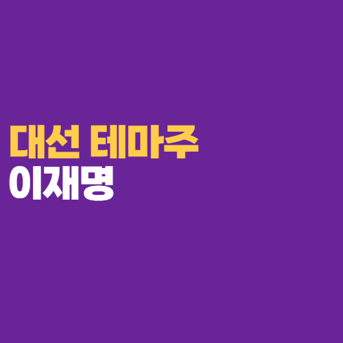  이재명 관련주식 종목 정리 분석 - 대선 테마주