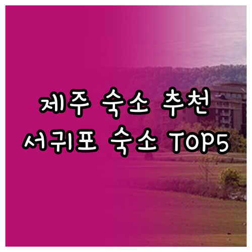 제주 서귀포 숙소 5곳 가성비와 위치