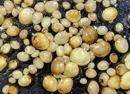 홍가네식당 이미지