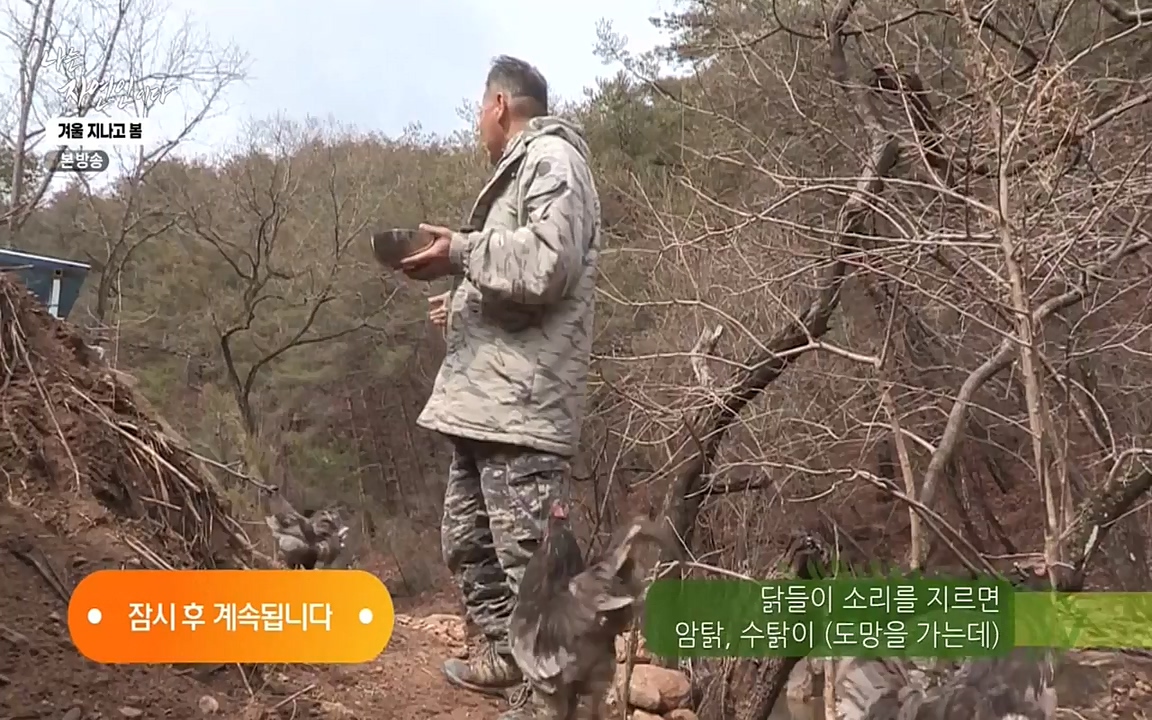 나는 자연인이다.E496.220407p-NEXT.mp4_20220407_175825.129.jpg