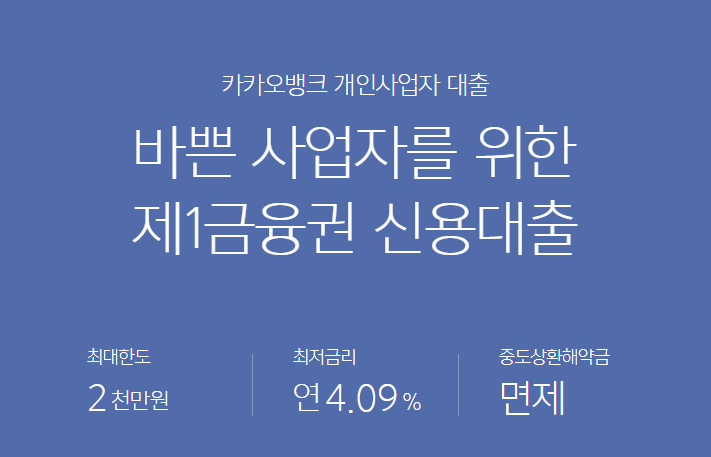 카카오뱅크 개인사업자 대출 상품요약