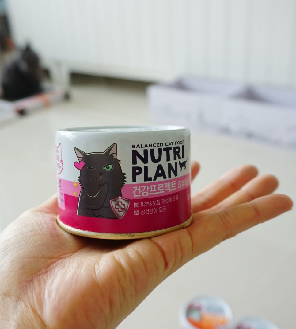 구냥이 고양이캔으로 네 건강관리해요 4