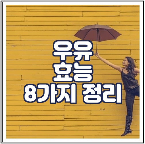 우유 효능 8가지 정리