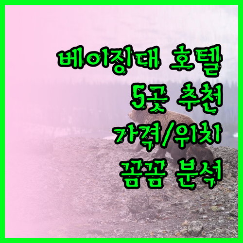 베이징 대학교 근처 호텔 5곳 추천 