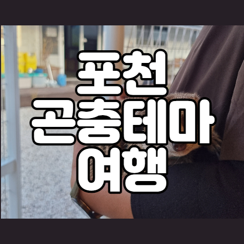 [포천 곤충테마여행] 서울근교 아이랑 가볼만한 곳