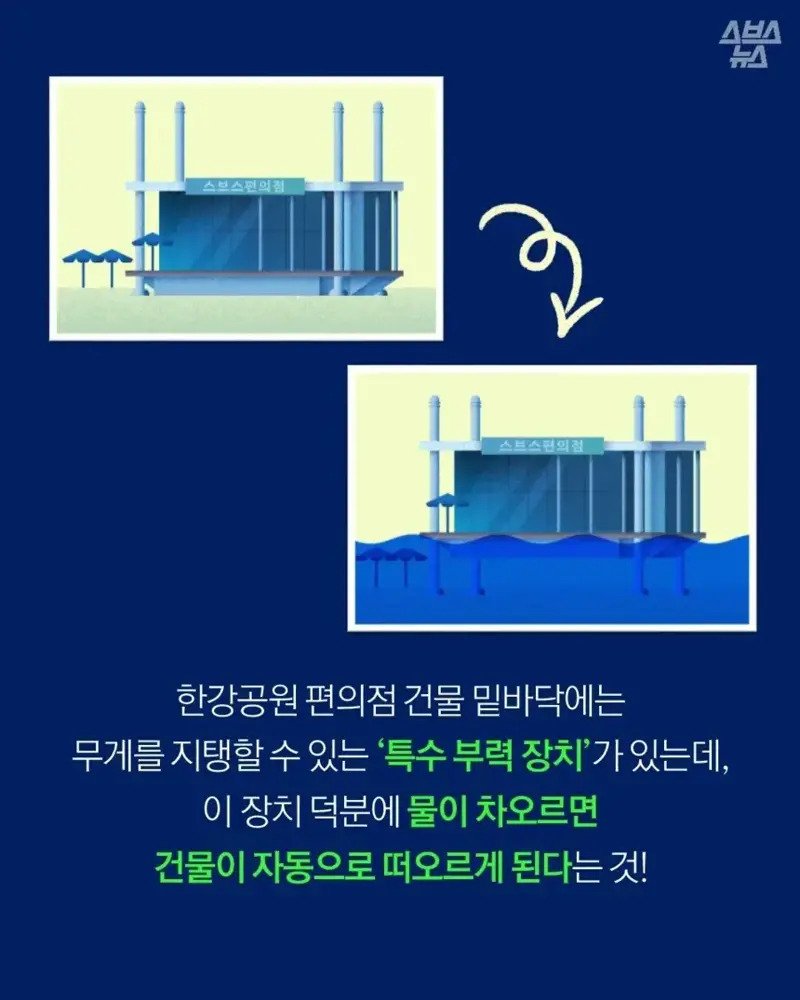 img.jpg