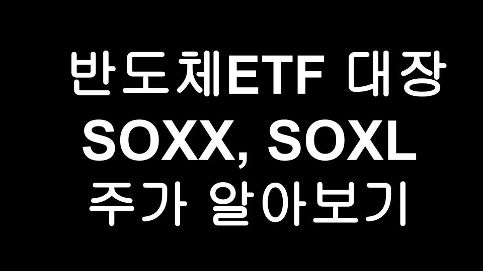  [미국주식] 반도체부족 현상이 생겨나는 시대에 반도체  ETF 대장 SOXX, SOXL에 투자하여 부자되기