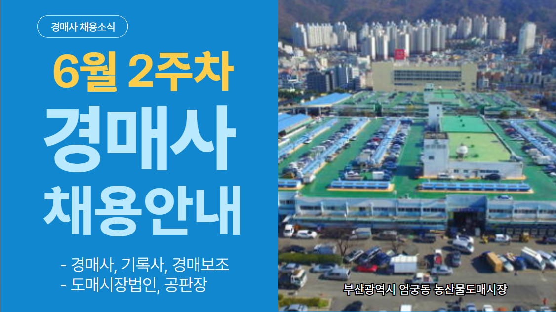  [경매사 채용정보] 2024년 6월 2주차에 진행되는 "경매사 채용소식"을 살펴보겠습니다!