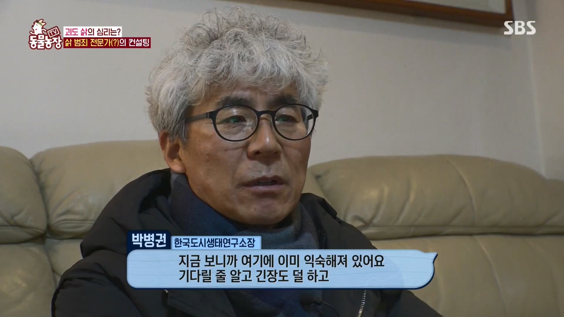 TV 동물농장.E1165.240331p.H264-F1RST.mp4_20240331_144349.116.jpg