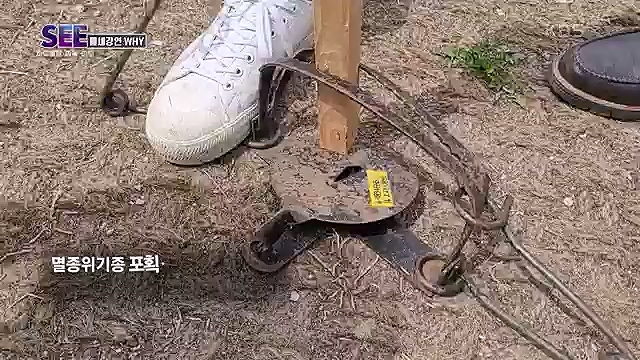 [88회] KBS 네트워크 특선 - KBS지구 재생 프로젝트, 종의 귀환.ts_20230309_201430.653.jpg