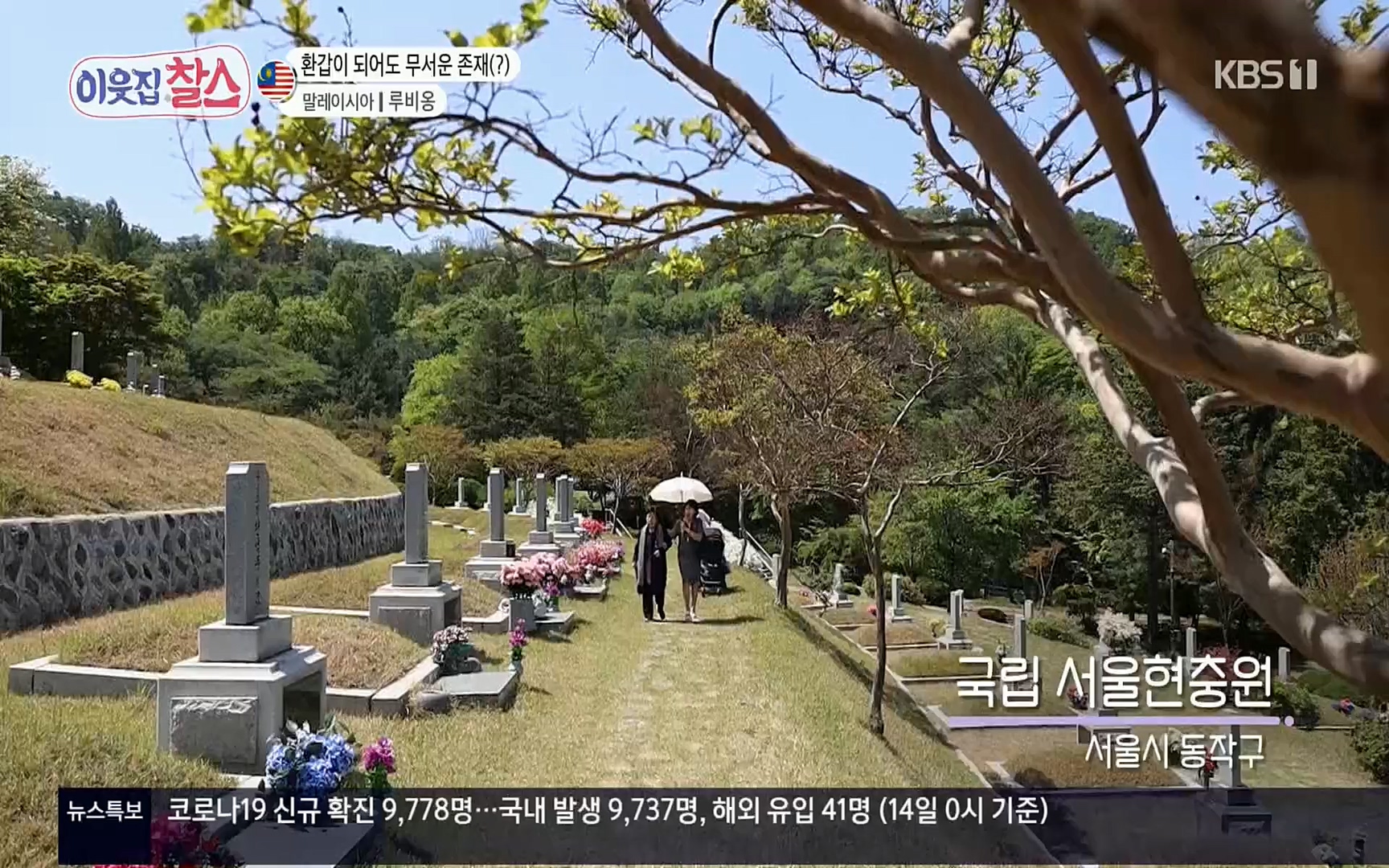 이웃집 찰스.E342.220614p.H264-F1RST.mp4_20220615_204206.668.jpg