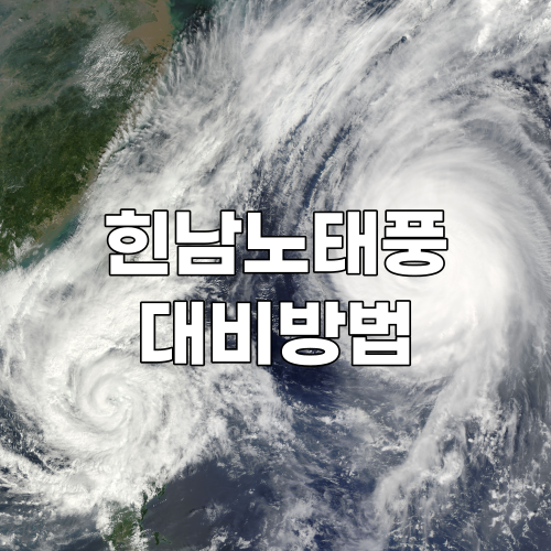  힌남노 태풍 경로와 대비방법(테이프 붙이는 방법) 완벽 정리