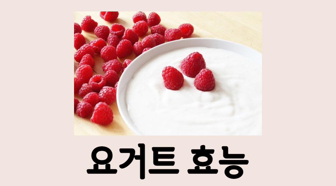  나만 모르는 요거트 효능