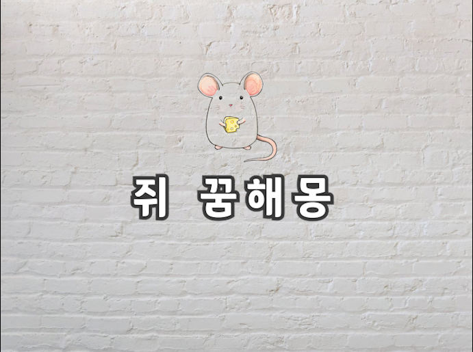  쥐 꿈해몽 쥐 꿈을 꾼다는건 이런 의미가 있는거랍니다