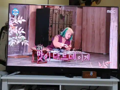 야옹이네 촌캉스 , sns 티비쇼프로그램