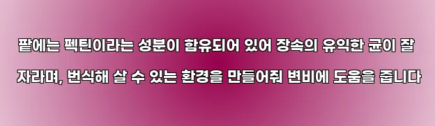  팥에는 펙틴이라는 성분이 함유되어 있어 장속의 유익한 균이 잘 자라며, 번식해 살 수 있는 환경을 만들어줘 변비에 도움을 줍니다