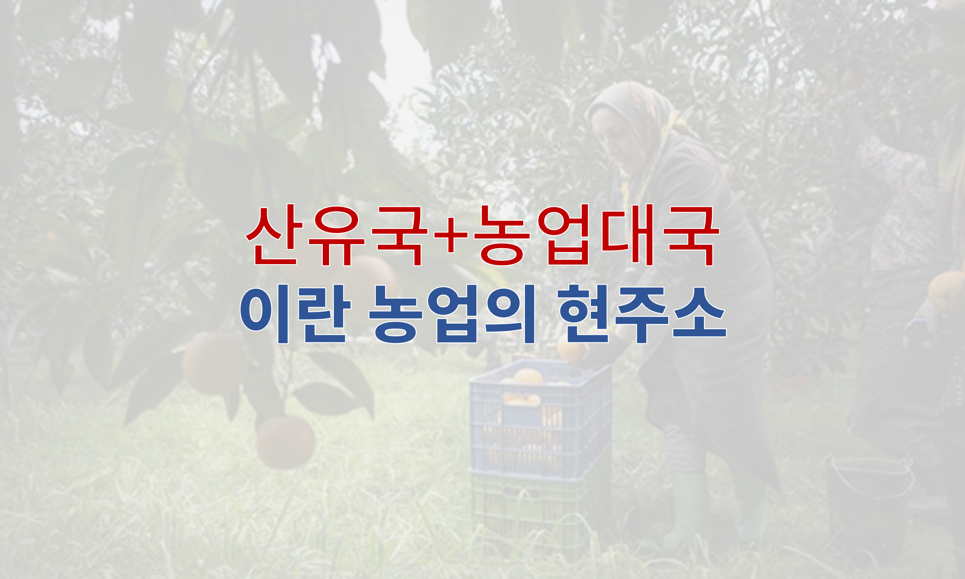  기름 펑펑나는 '농업대국', 이란 농업의 변화점