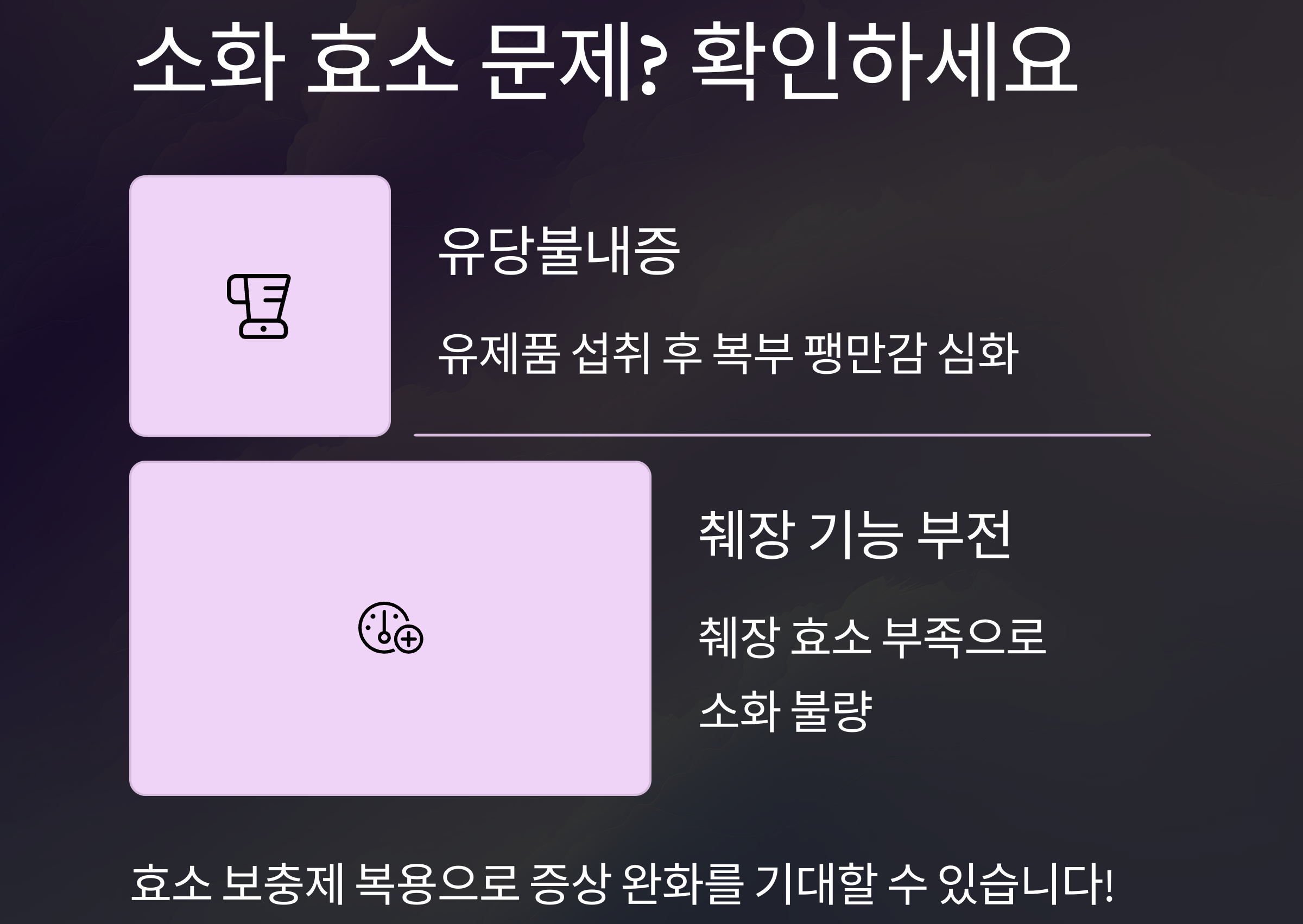 소화 효소 문제 확인